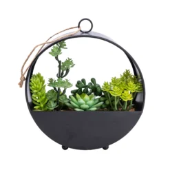 Garden Outdoor Store -Garden Outdoor Store 23cm succulent artificial plant in black metal pot5010795682485 02c bq