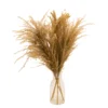 49cm Natural Pampas Grass Artificial Plant In Clear Glass Vase
