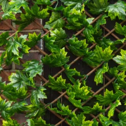 Apollo Maple Leaf Willow Trellis Panel (W)200cm X (H)100cm -Garden Outdoor Store apollo maple leaf willow trellis panel w 200cm x h 100cm5037653779309 02i bq