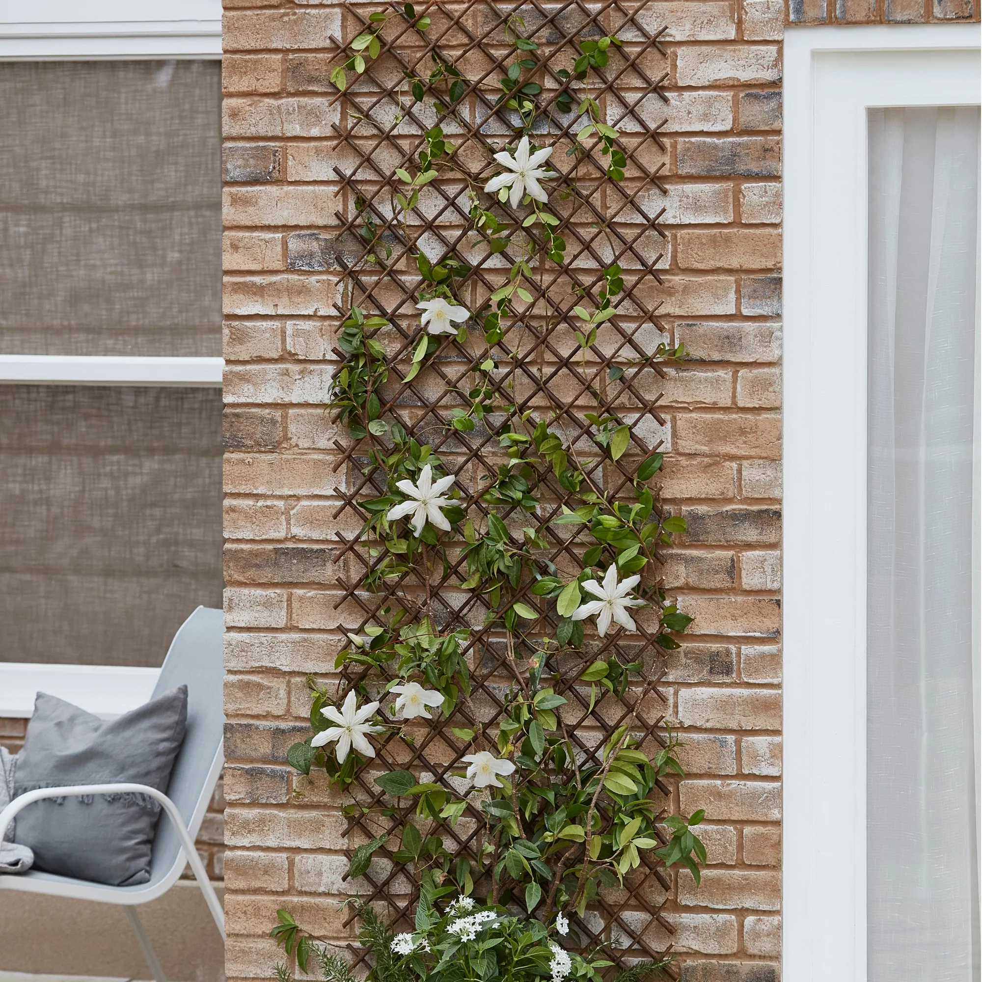 Blooma 2ft Willow Trellis Panel (W)180cm X (H)60cm 4 Blooma 2ft Willow Trellis Panel (W)180cm X (H)60cm - Image 4