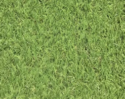 Dennis Artificial Grass 8m² (T)22mm -Garden Outdoor Store dennis artificial grass 8m t 22mm3663602425175 36c scaled