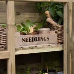 Forest Garden Georgian Wall Greenhouse With Auto Vent -Garden Outdoor Store forest garden georgian wall greenhouse with auto vent5013053185087 38c bq