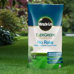Miracle-Gro No Rake Lawn Fertiliser Granules 50m² 5kg -Garden Outdoor Store miracle gro no rake lawn fertiliser granules 50m 5kg5010272183764 01i BQ