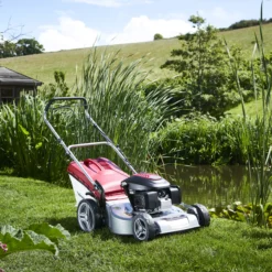 Mountfield SP53H 167cc Petrol Rotary Lawnmower -Garden Outdoor Store mountfield sp53h 167cc petrol rotary lawnmower8008984817999 01i bq scaled