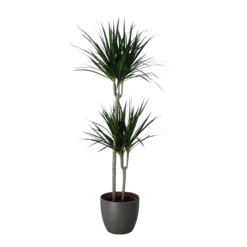 Never Plant In 24cm Assorted Ceramic Decorative Pot 5 Never Plant In 24cm Assorted Ceramic Decorative Pot -Garden Outdoor Store never plant in 24cm assorted ceramic decorative pot5059340827834 22c