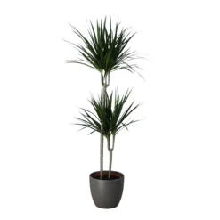 Never Plant In 24cm Assorted Ceramic Decorative Pot 5 Never Plant In 24cm Assorted Ceramic Decorative Pot -Garden Outdoor Store never plant in 24cm assorted ceramic decorative pot5059340827834 22c scaled