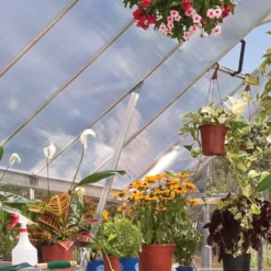 Palram Balance Silver 8x12 Greenhouse 13 Palram Balance Silver 8x12 Greenhouse -Garden Outdoor Store palram balance silver 8x12 greenhouse7290103111465 38c