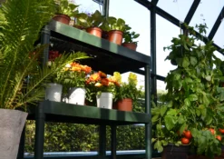 Palram - Canopia 2 Tier Greenhouse Staging 12 Palram - Canopia 2 Tier Greenhouse Staging -Garden Outdoor Store palram canopia 2 tier greenhouse staging7290103121372 04i