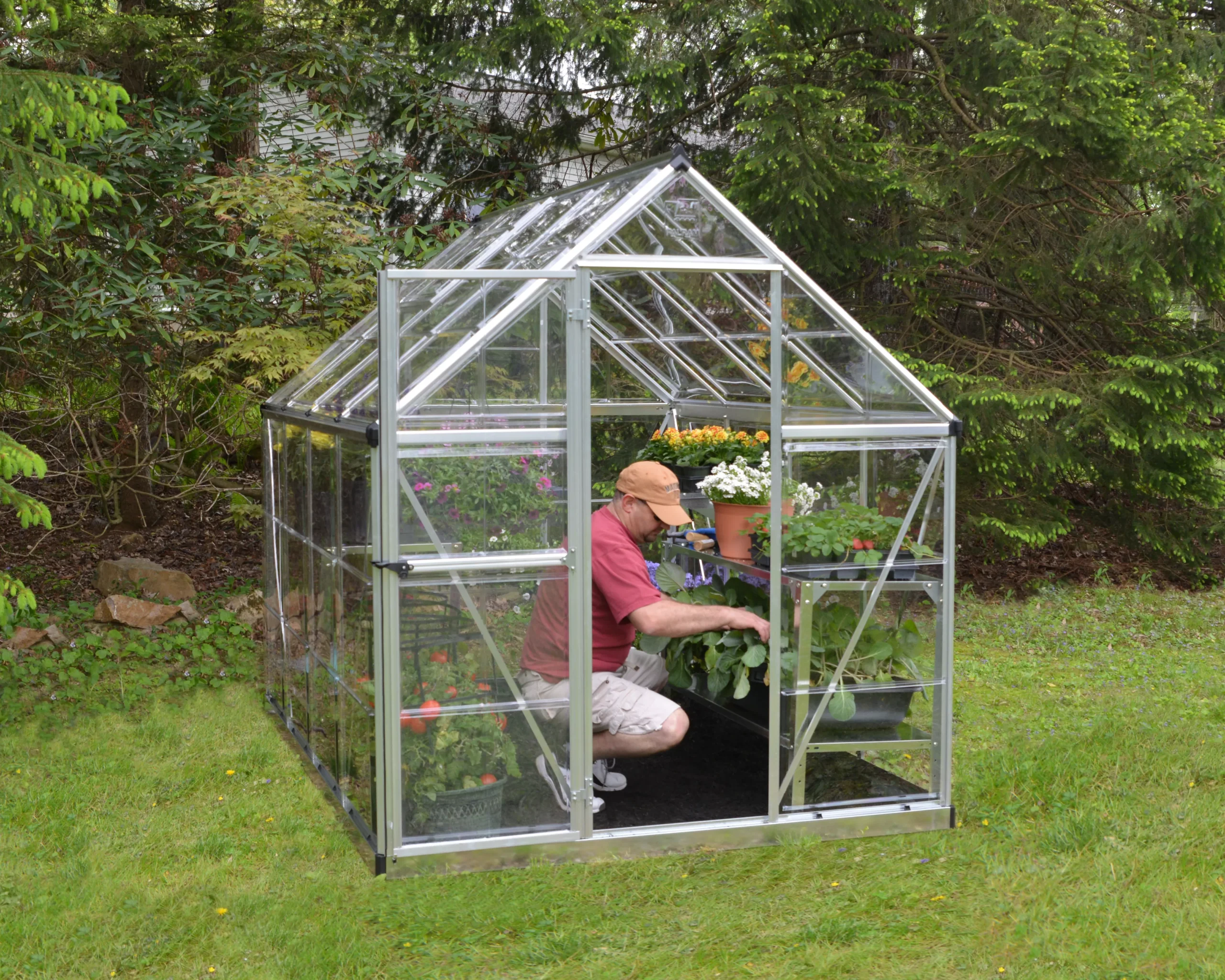 Palram - Canopia Harmony Silver 6x8 Greenhouse 12 Palram - Canopia Harmony Silver 6x8 Greenhouse - Image 12