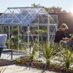 Palram - Canopia Harmony Silver 6x8 Greenhouse 28 Palram - Canopia Harmony Silver 6x8 Greenhouse -Garden Outdoor Store palram canopia harmony silver 6x8 greenhouse7290103110581 07i