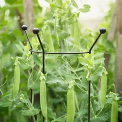 Alternative view of Panacea Steel Curved Plant Support Frame (L)147cm (Dia)37cm