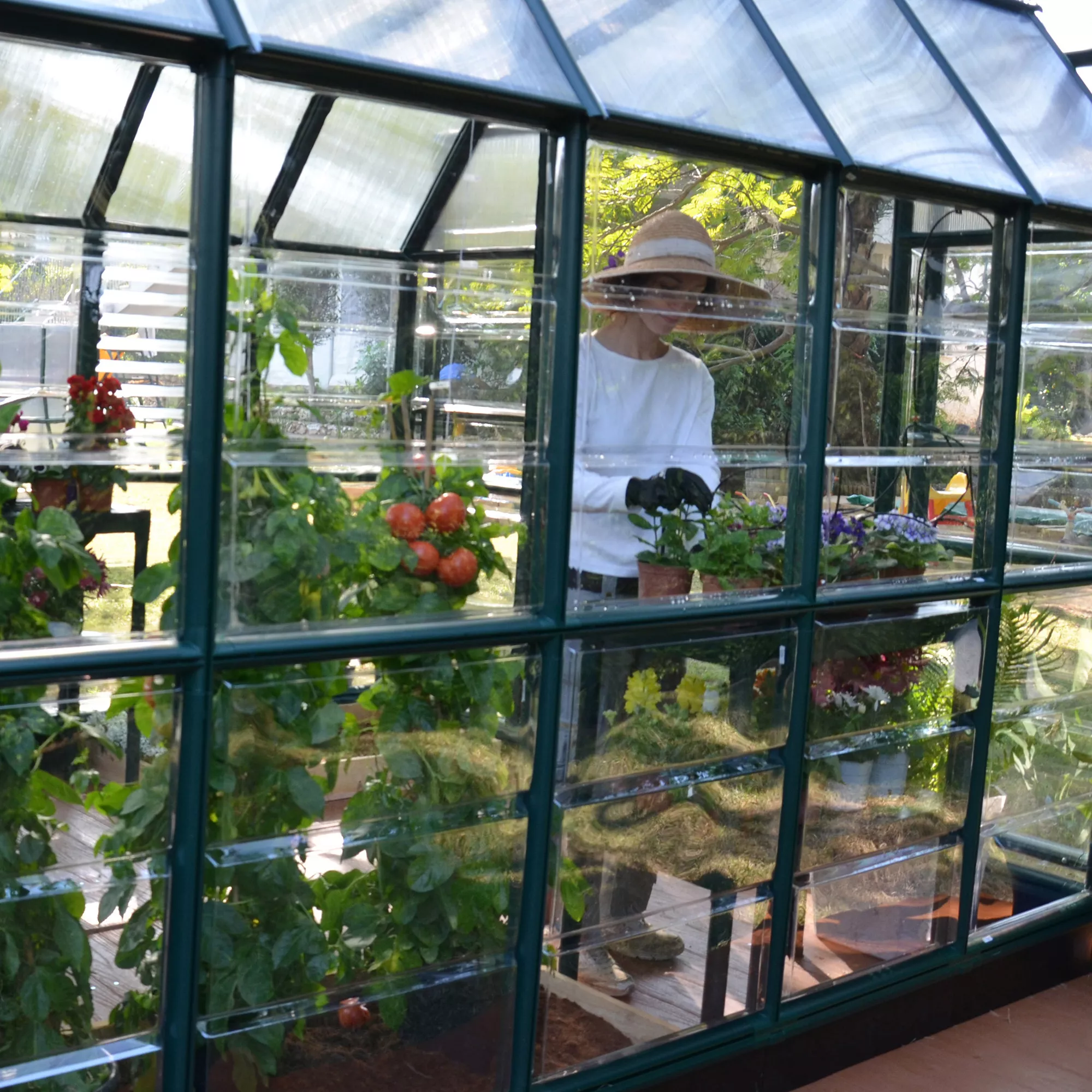 Rion Grand Gardner Green 8x20 Greenhouse 6 Rion Grand Gardner Green 8x20 Greenhouse - Image 6