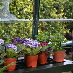 Rion Grand Gardner Green 8x20 Greenhouse 11 Rion Grand Gardner Green 8x20 Greenhouse -Garden Outdoor Store rion grand gardner green 8x20 greenhouse7290103121648 38c