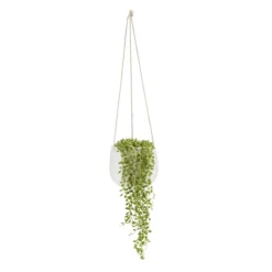 String Of Beads In 13cm White Ceramic Hanging Pot