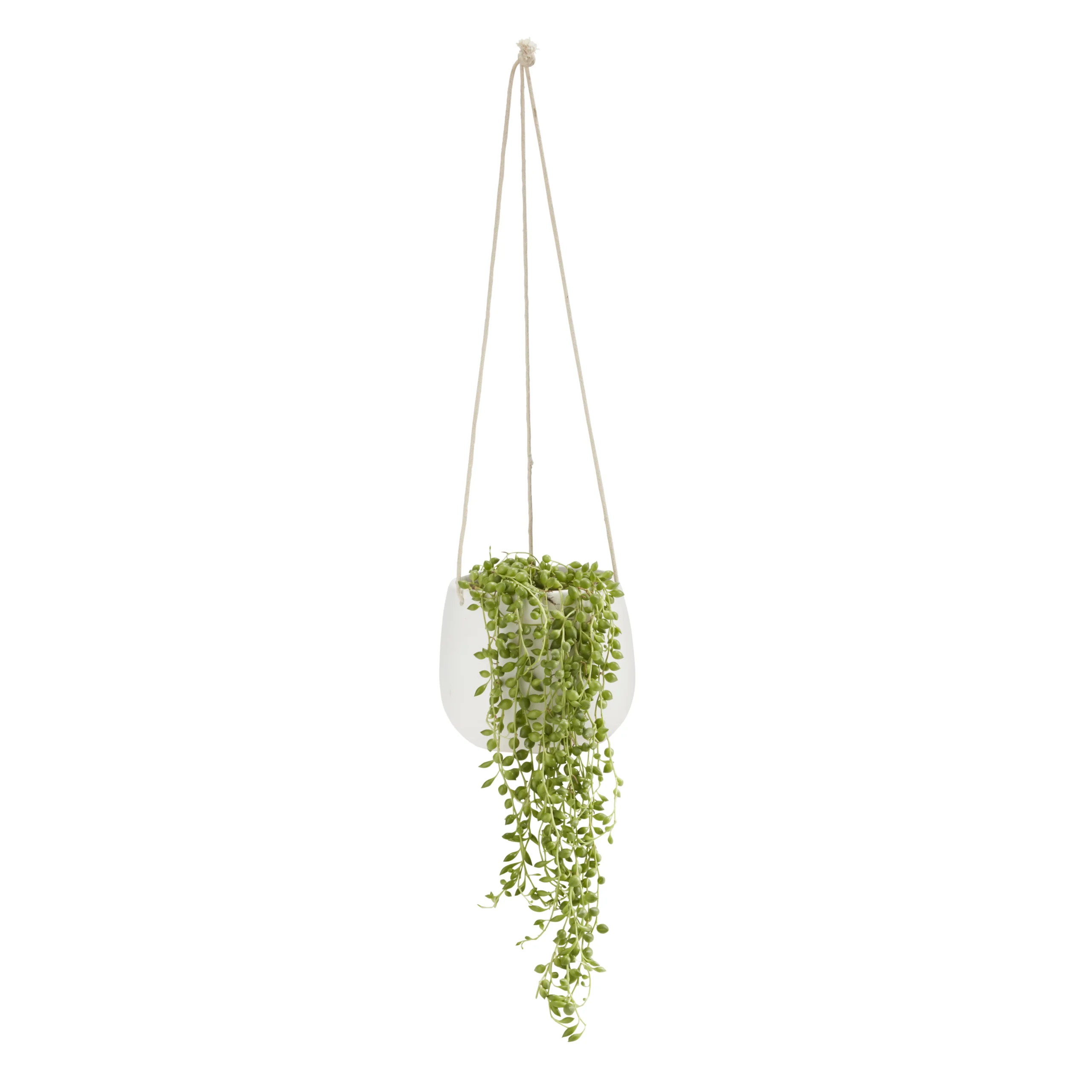 String Of Beads In 13cm White Ceramic Hanging Pot 1 String Of Beads In 13cm White Ceramic Hanging Pot