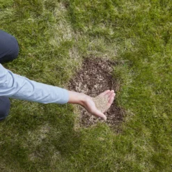 Verve Easy Start Coated Grass Seeds, 1.5kg 10 Verve Easy Start Coated Grass Seeds, 1.5kg -Garden Outdoor Store verve easy start coated grass seeds 1 5kg3663602947493 03i