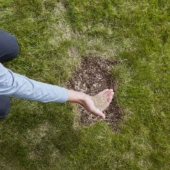 Verve Easy Start Coated Grass Seeds, 1.5kg 10 Verve Easy Start Coated Grass Seeds, 1.5kg -Garden Outdoor Store verve easy start coated grass seeds 1 5kg3663602947493 03i scaled