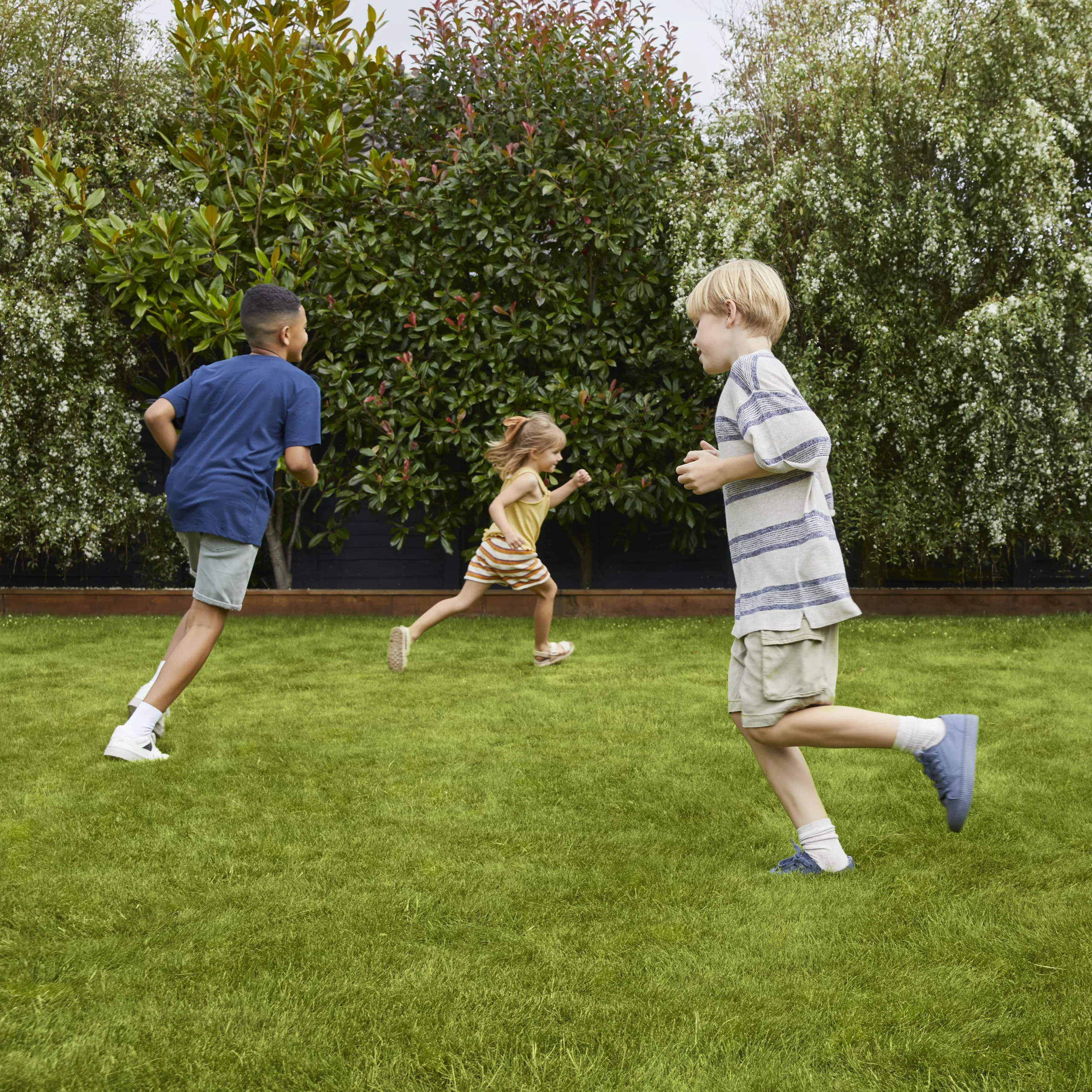 Verve Family & Sports Grass Seeds, 10kg 2 Verve Family & Sports Grass Seeds, 10kg - Image 2