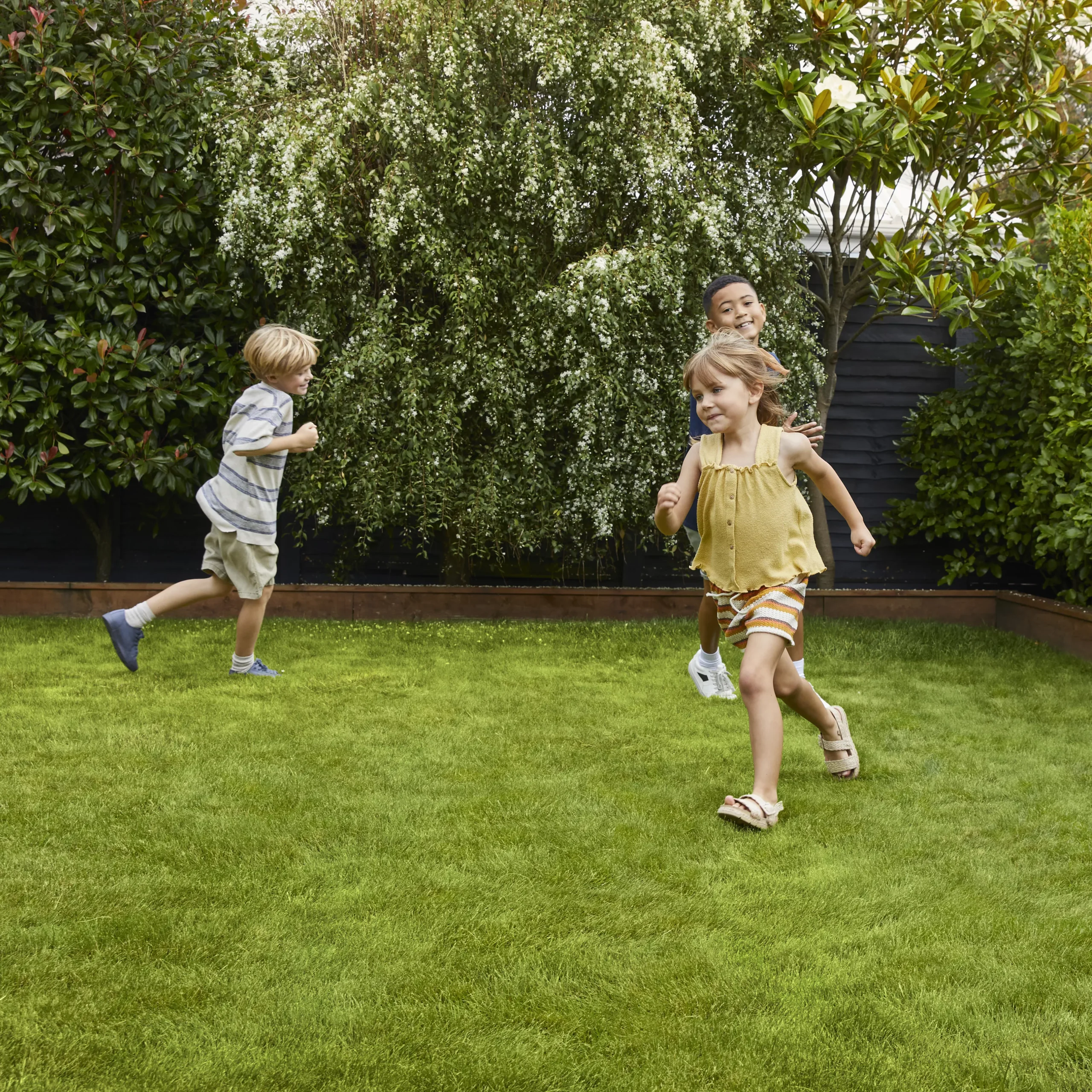 Verve Family & Sports Grass Seeds, 10kg 3 Verve Family & Sports Grass Seeds, 10kg - Image 3