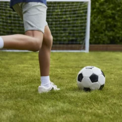 Verve Family & Sports Grass Seeds, 10kg -Garden Outdoor Store verve family sports grass seeds 10kg3663602947516 06i scaled