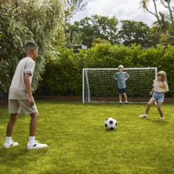 Verve Family & Sports Grass Seeds, 10kg 20 Verve Family & Sports Grass Seeds, 10kg -Garden Outdoor Store verve family sports grass seeds 10kg3663602947516 09i