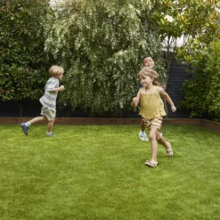 Verve Family & Sports Grass Seeds, 5kg -Garden Outdoor Store verve family sports grass seeds 5kg3663602947516 02i scaled