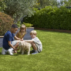 Verve Family & Sports Grass Seeds, 5kg -Garden Outdoor Store verve family sports grass seeds 5kg3663602947516 04i scaled