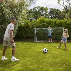 Verve Family & Sports Grass Seeds, 5kg -Garden Outdoor Store verve family sports grass seeds 5kg3663602947516 09i scaled