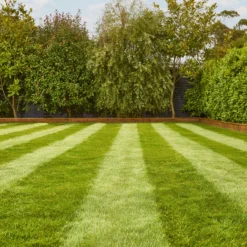 Verve Fine English Grass Seeds, 1.25kg -Garden Outdoor Store verve fine english grass seeds 1 25kg3663602947592 01i scaled