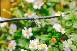 Verve Irrigation Kit 60 Pieces -Garden Outdoor Store verve irrigation kit 60 pieces5063022059864 01i scaled