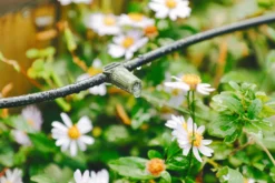 Garden Outdoor Store -Garden Outdoor Store verve irrigation kit 60 pieces5063022059864 02i