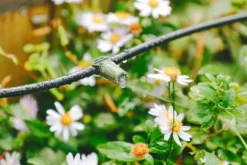 Garden Outdoor Store -Garden Outdoor Store verve irrigation kit 60 pieces5063022059864 02i scaled