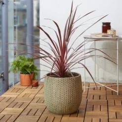 Verve Kulun Beige Knitted Effect Fibreclay Circular Plant Pot (Dia)29cm -Garden Outdoor Store verve kulun beige knitted effect fibreclay circular plant pot dia 29cm5059340327693 01i scaled