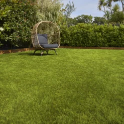 Verve Sunny Grass Seeds, 5kg 6 Verve Sunny Grass Seeds, 5kg -Garden Outdoor Store verve sunny grass seeds 5kg3663602947578 01i