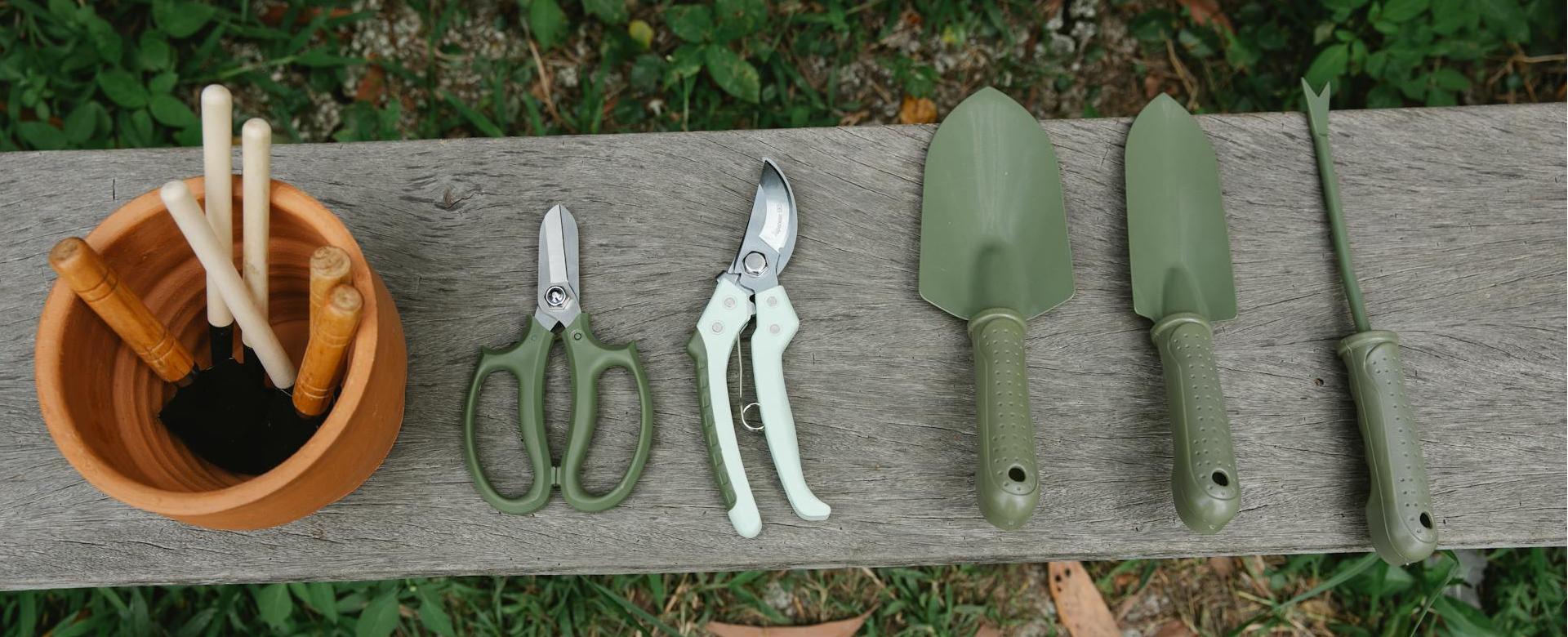 Garden Outdoor Store -Garden Outdoor Store pexels gary barnes 6231726